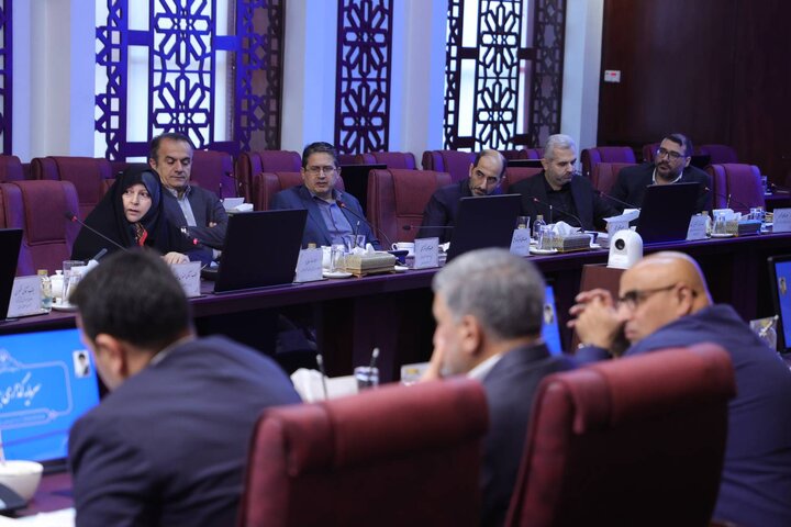 جلسه شورای معاونین وزارت اقتصاد