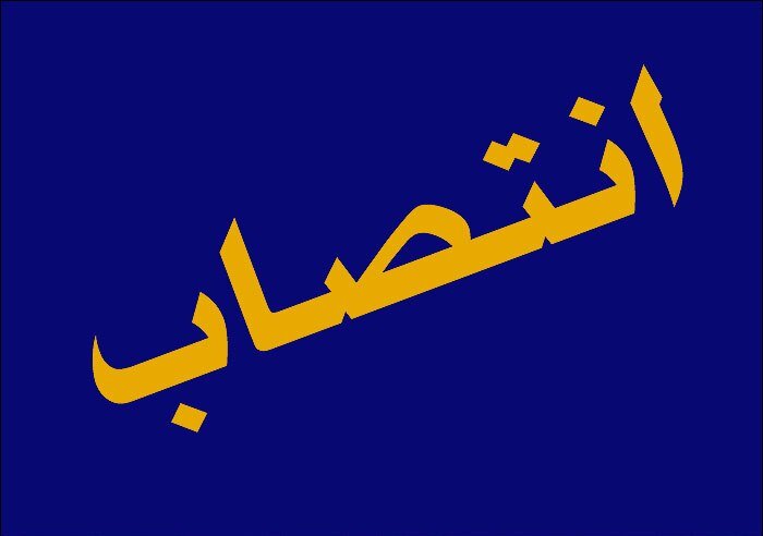 سرپرست "مرکز امور شرکت‌های دولتی" وزارت اقتصاد منصوب شد