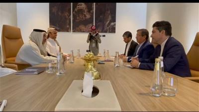 Iran's Eco. Min. Meets with Qatari Counterpart